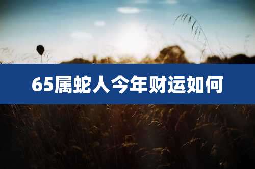 65属蛇人今年财运如何