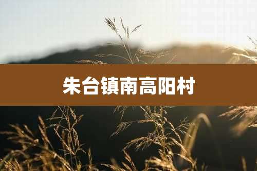 朱台镇南高阳村