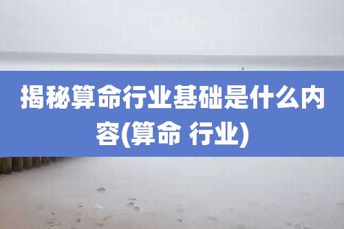 揭秘算命行业基础是什么内容(算命 行业)