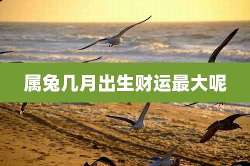 属兔几月出生财运最大呢