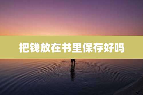 把钱放在书里保存好吗