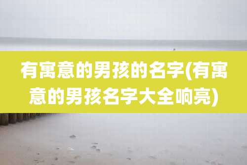 有寓意的男孩的名字(有寓意的男孩名字大全响亮)