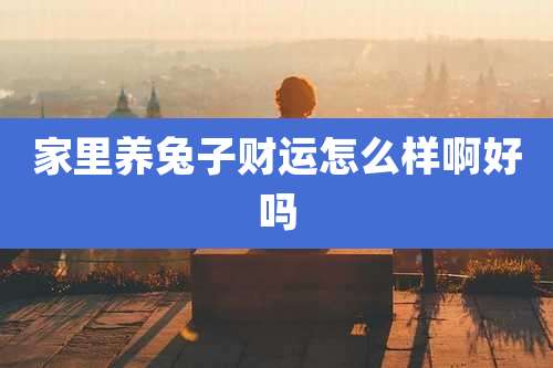 家里养兔子财运怎么样啊好吗