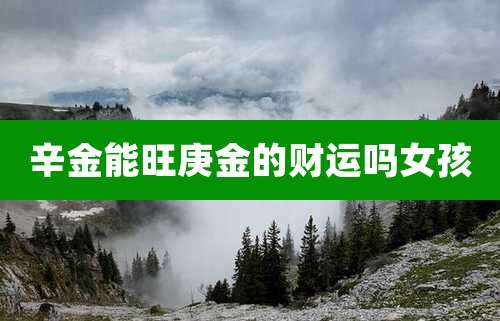 辛金能旺庚金的财运吗女孩