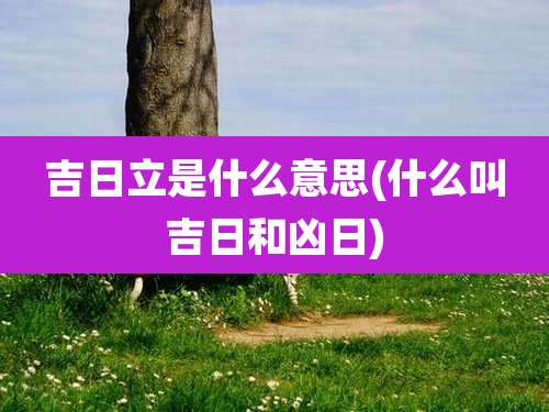 吉日立是什么意思(什么叫吉日和凶日)