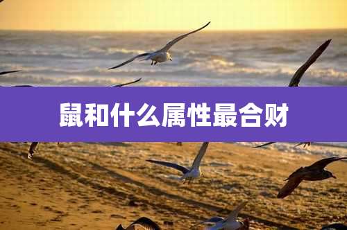 鼠和什么属性最合财