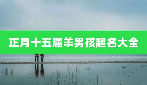 正月十五属羊男孩起名大全