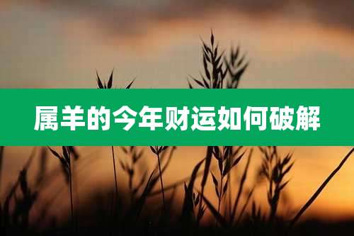 属羊的今年财运如何破解