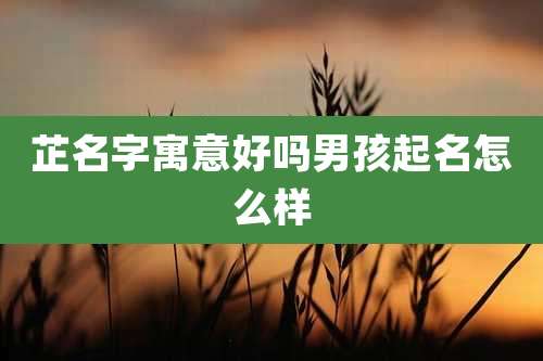 芷名字寓意好吗男孩起名怎么样