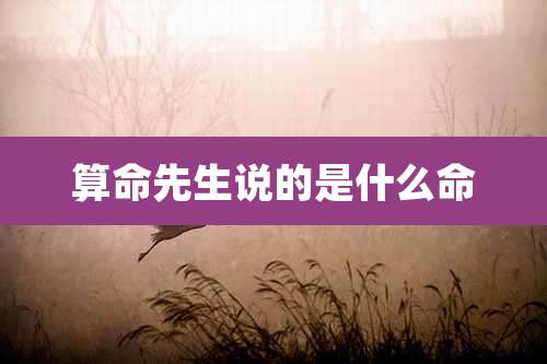 算命先生说的是什么命