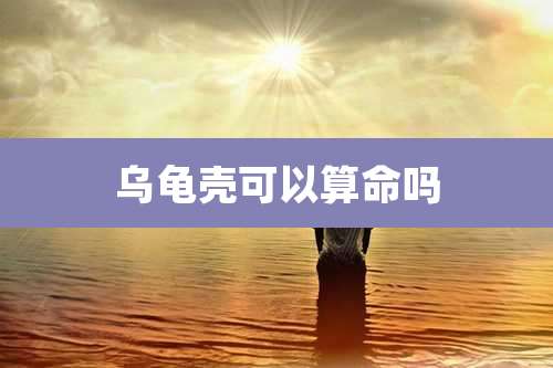 乌龟壳可以算命吗