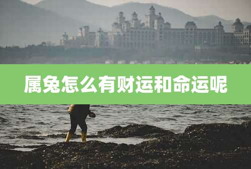 属兔怎么有财运和命运呢