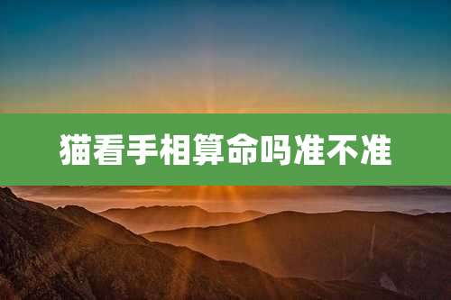 猫看手相算命吗准不准