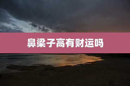 鼻梁子高有财运吗