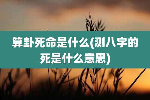 算卦死命是什么(测八字的死是什么意思)