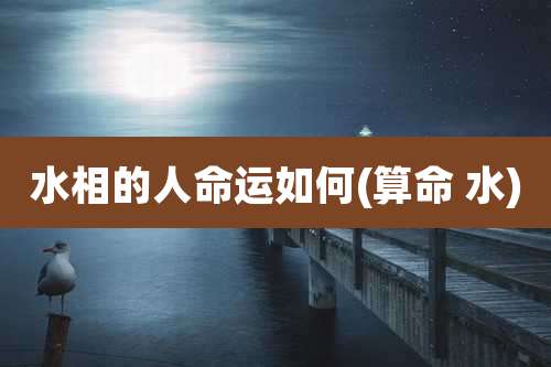 水相的人命运如何(算命 水)