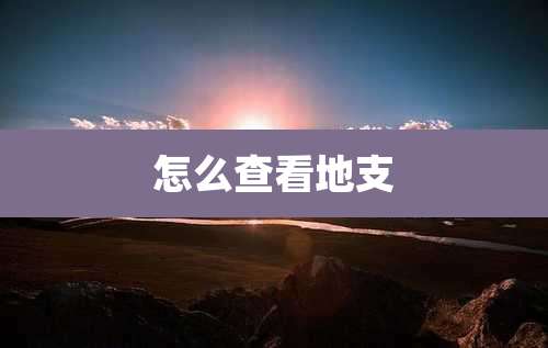 怎么查看地支
