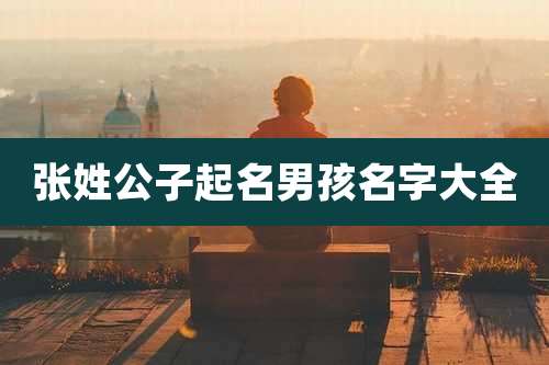 张姓公子起名男孩名字大全