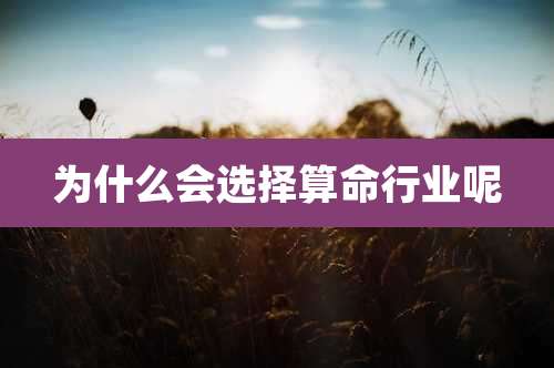 为什么会选择算命行业呢