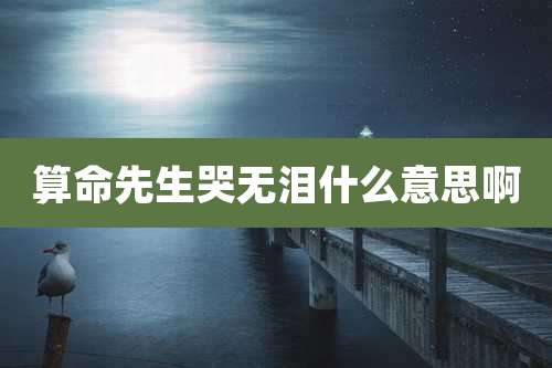 算命先生哭无泪什么意思啊