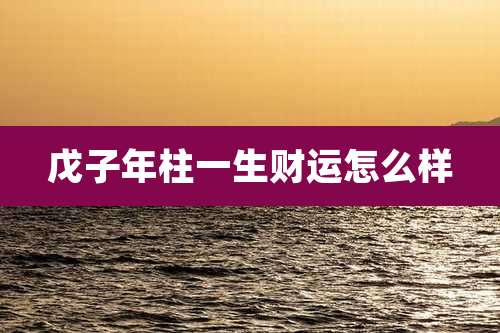 戊子年柱一生财运怎么样