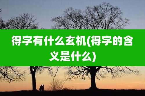 得字有什么玄机(得字的含义是什么)