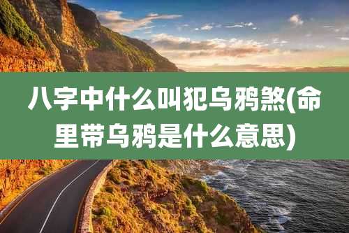 八字中什么叫犯乌鸦煞(命里带乌鸦是什么意思)