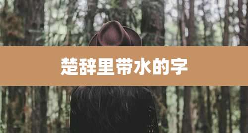 楚辞里带水的字