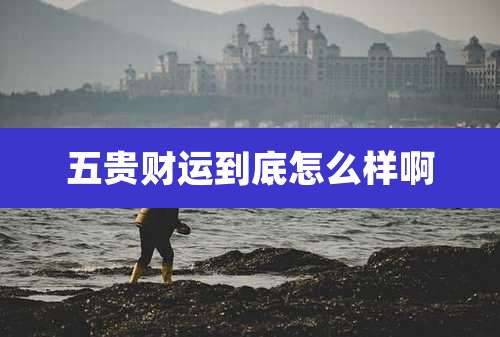 五贵财运到底怎么样啊