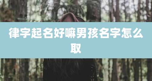 律字起名好嘛男孩名字怎么取