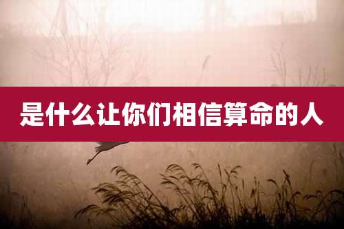 是什么让你们相信算命的人