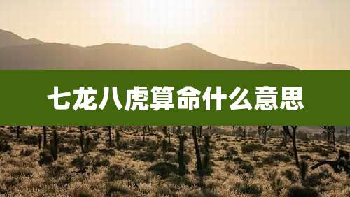 七龙八虎算命什么意思
