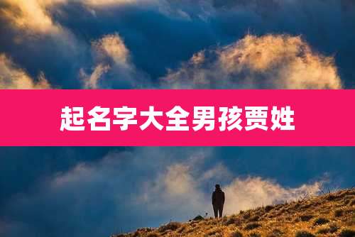 起名字大全男孩贾姓