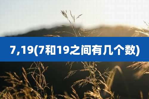7,19(7和19之间有几个数)