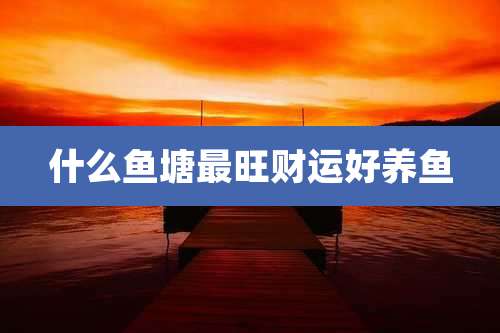 什么鱼塘最旺财运好养鱼