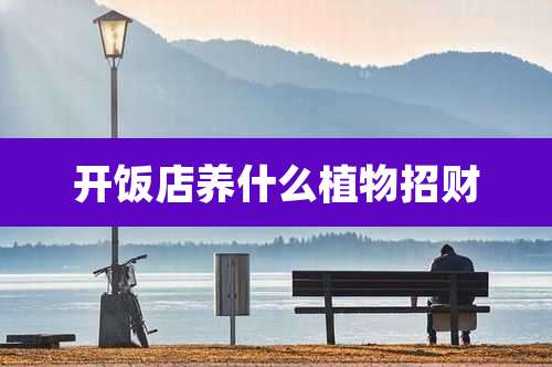 开饭店养什么植物招财