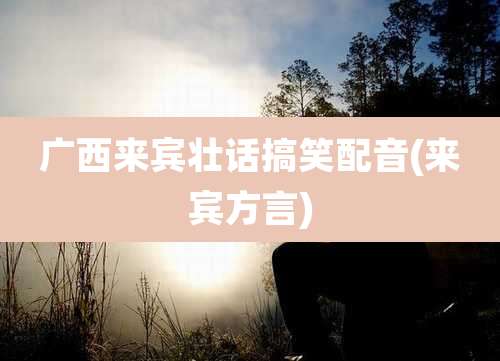 广西来宾壮话搞笑配音(来宾方言)