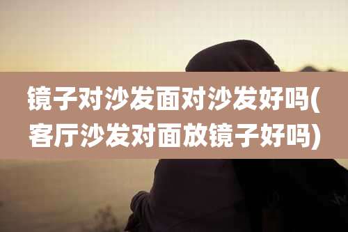 镜子对沙发面对沙发好吗(客厅沙发对面放镜子好吗)