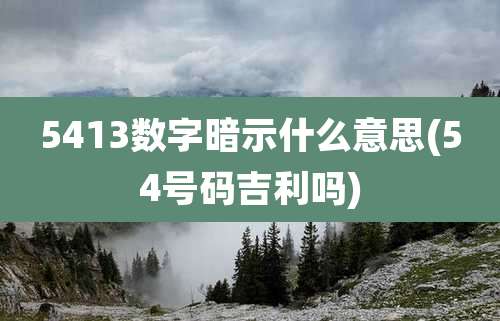 5413数字暗示什么意思(54号码吉利吗)