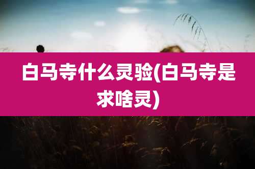 白马寺什么灵验(白马寺是求啥灵)