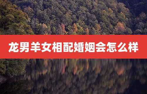 龙男羊女相配婚姻会怎么样