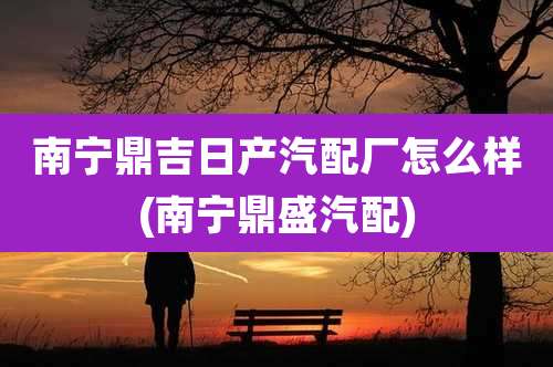 南宁鼎吉日产汽配厂怎么样(南宁鼎盛汽配)