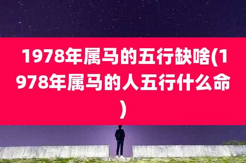 1978年属马的五行缺啥(1978年属马的人五行什么命)