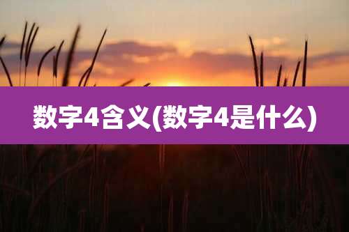 数字4含义(数字4是什么)