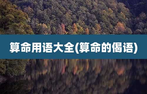 算命用语大全(算命的偈语)