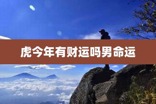 虎今年有财运吗男命运