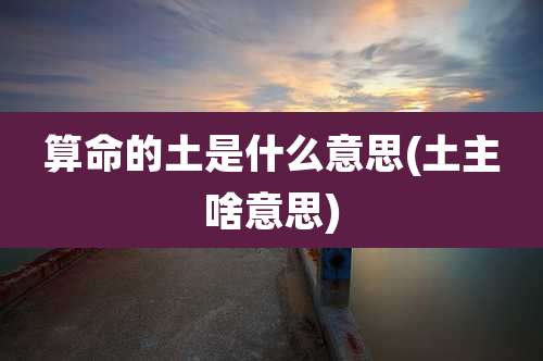 算命的土是什么意思(土主啥意思)