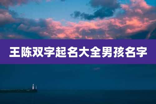 王陈双字起名大全男孩名字