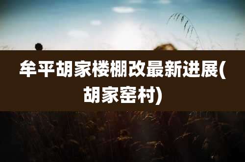 牟平胡家楼棚改最新进展(胡家窑村)