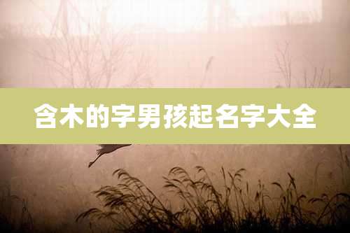 含木的字男孩起名字大全